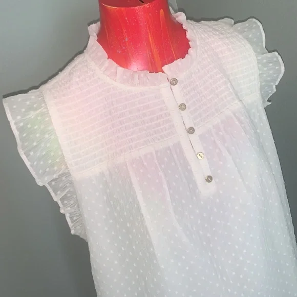 LOFT Sweet Pea Top NWT - Picture 4 of 10